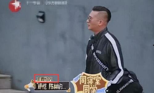 郑恺爆料杜江两娃视频播放,视频播放引发网友热议  第1张