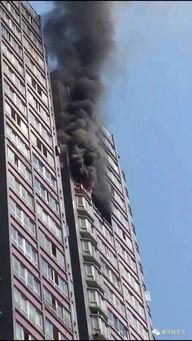 杨家坪最新爆料,揭秘神秘事件背后的真相  第1张